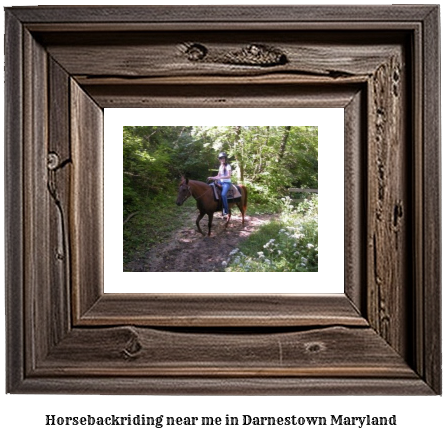 horseback riding near me in Darnestown, Maryland